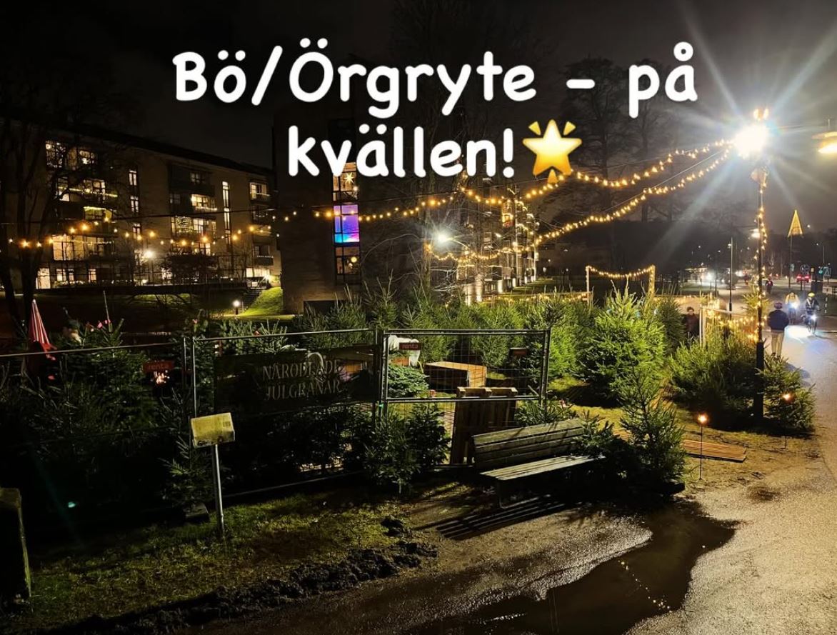 Försäljning av Julgranar i Bö, Örgryte