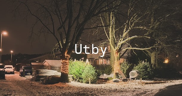 Försäljning av Julgranar i Utby